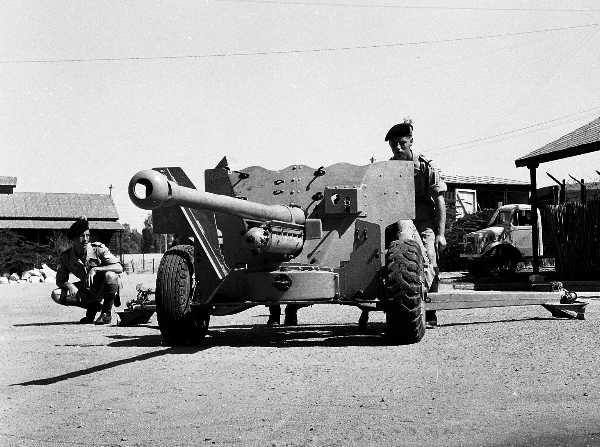  1LF  1951  Moascar Minden Camp Ismalia Anti Tank Pln  !7 Pdr824